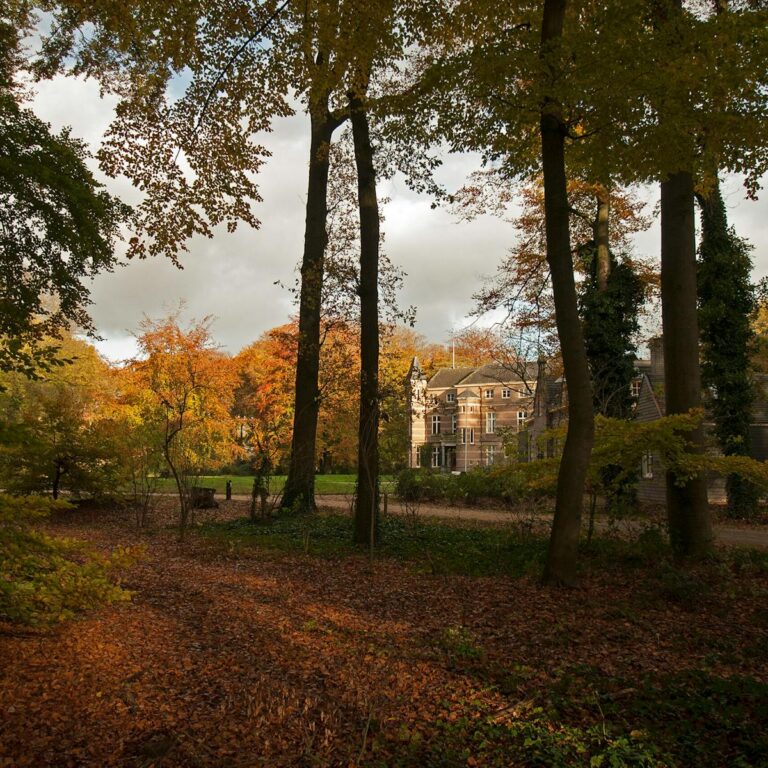 Excursie: Herfst op Stoutenburg — natuur in Leusden